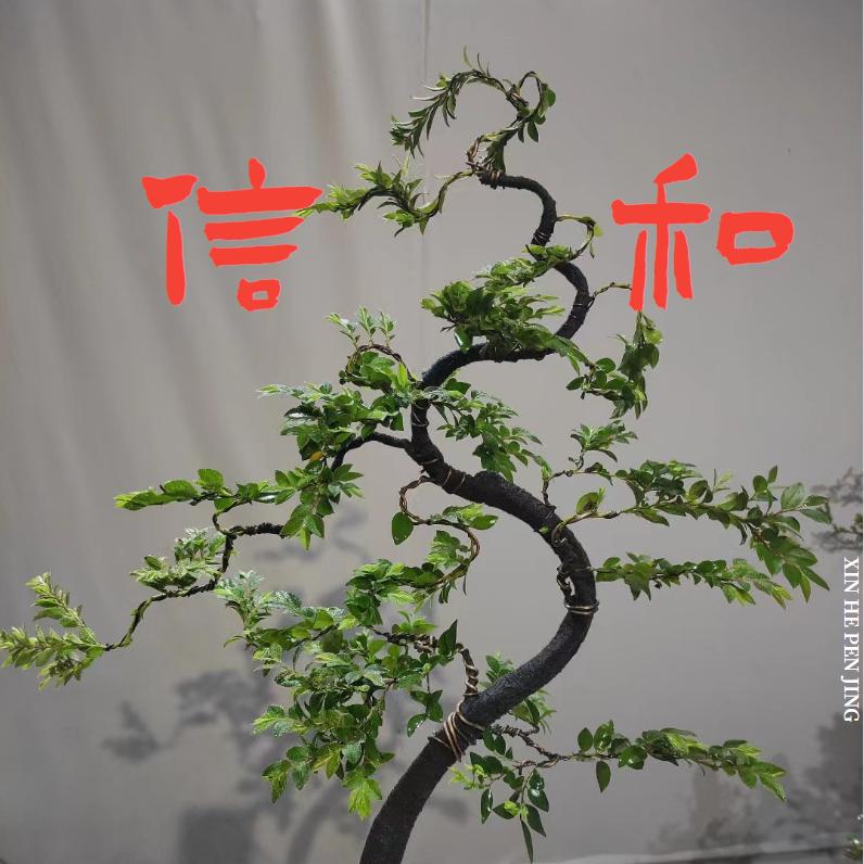 信和盆景园艺
