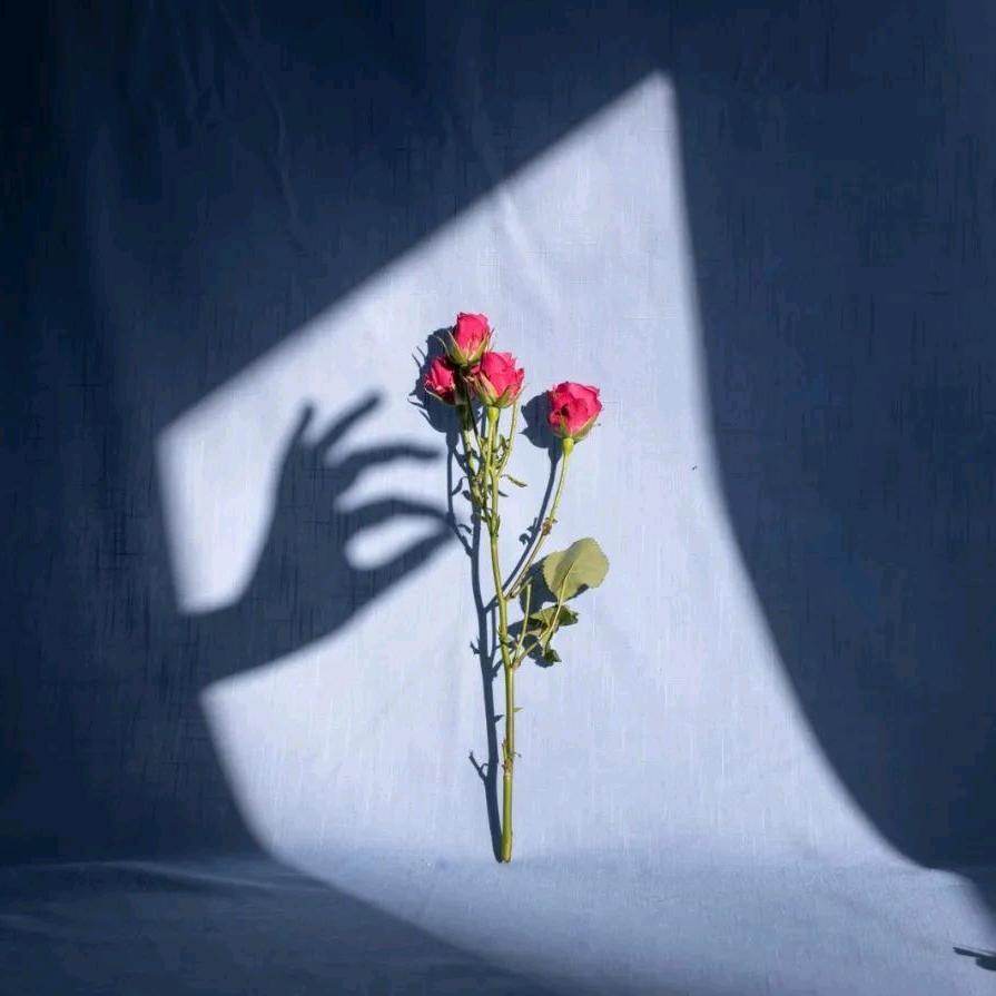 Rasheed（热西提）