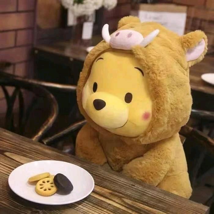 麦当牢里关着的肯德鸡