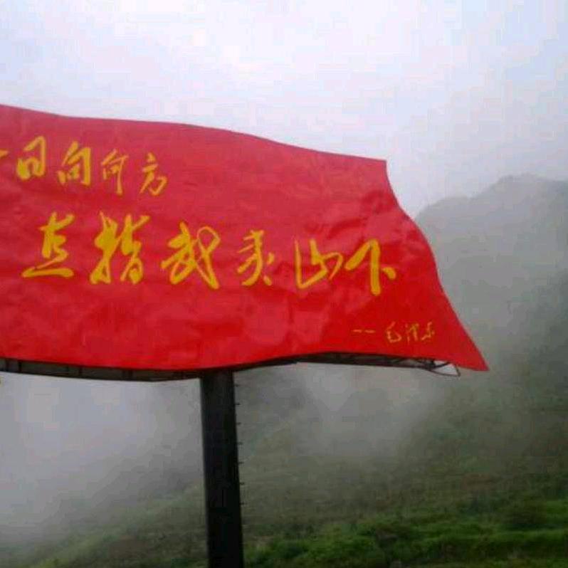右岸林风