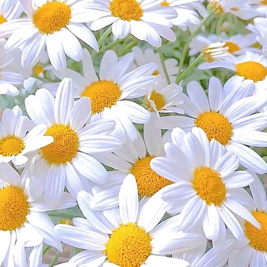 万物可爱，未来可期