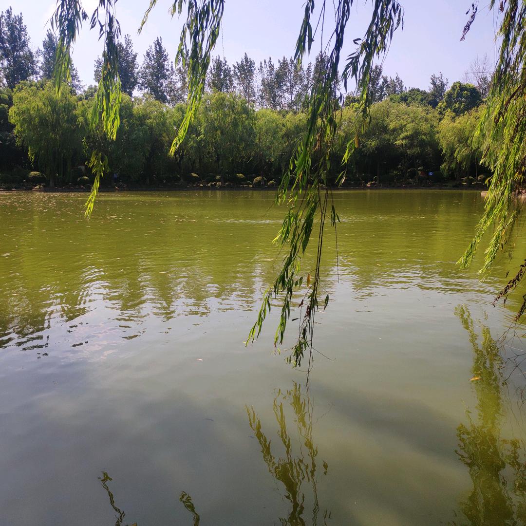 👍新店家园🔥