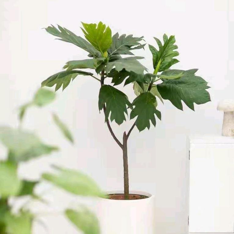 卉上花植园艺