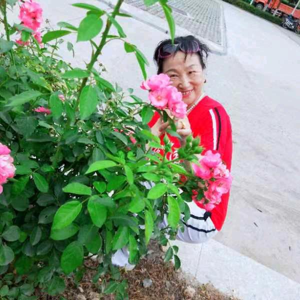 姚楚珍