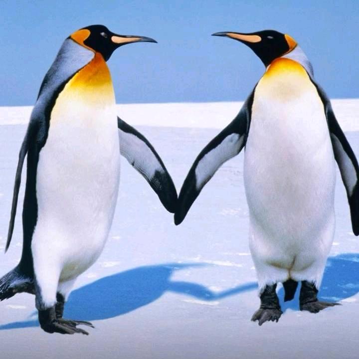 水手