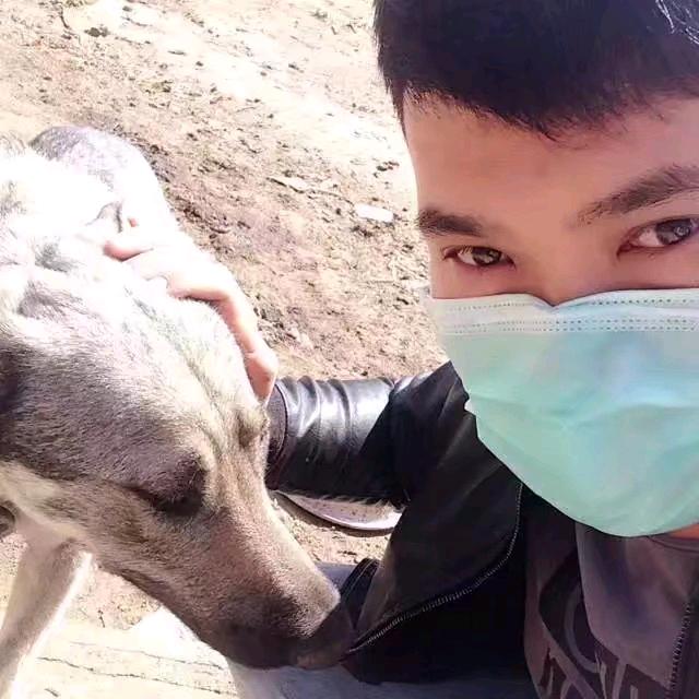 常年收猪于胖