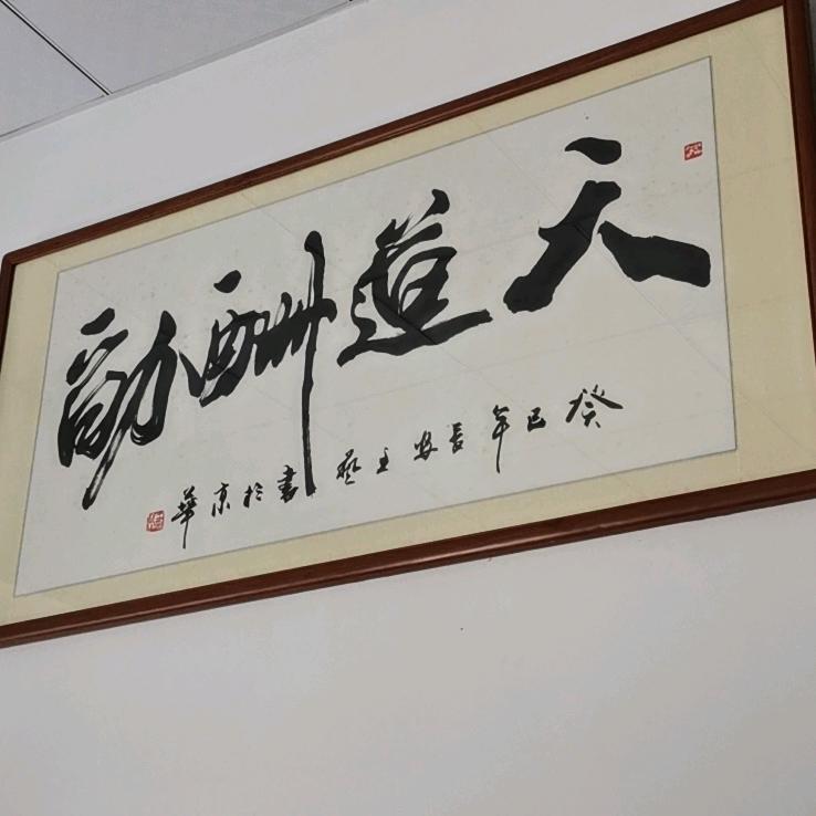 飞宇哥