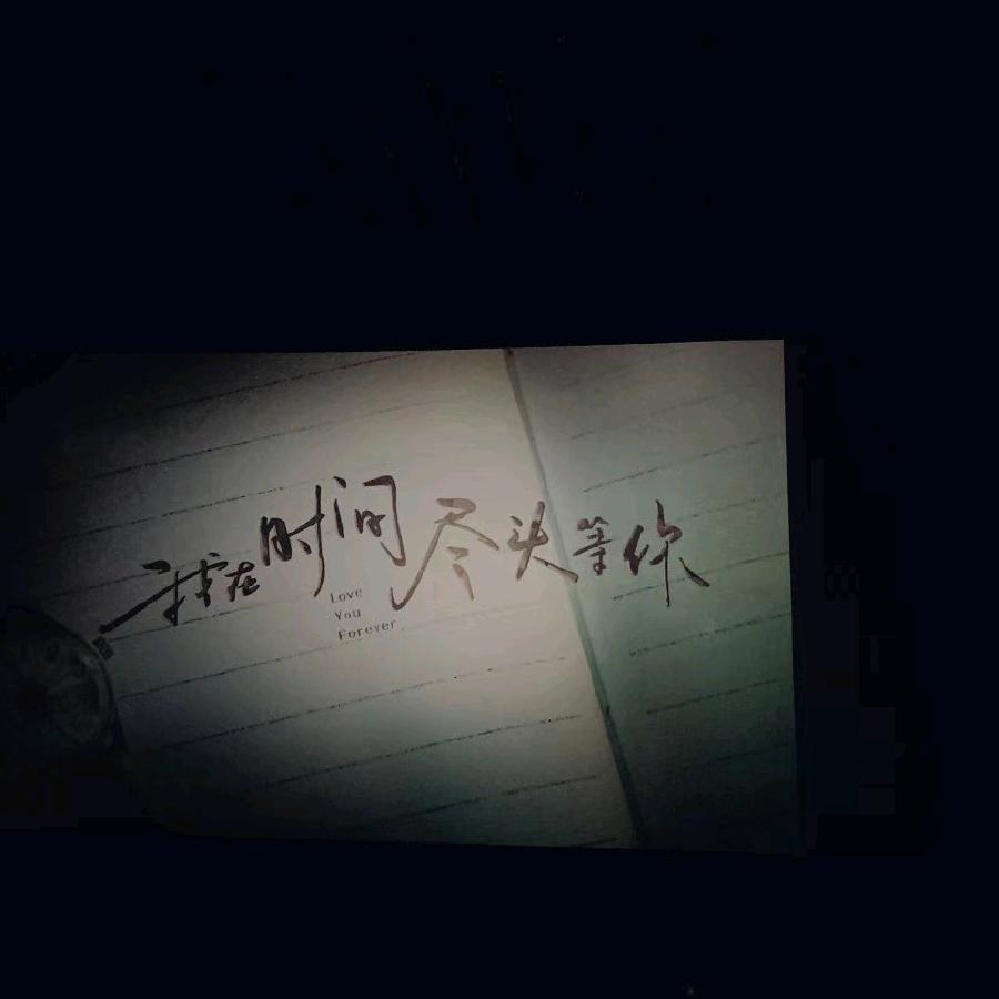 @哲哥Vlog