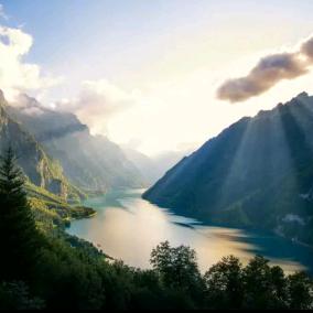 新永顺针织服饰