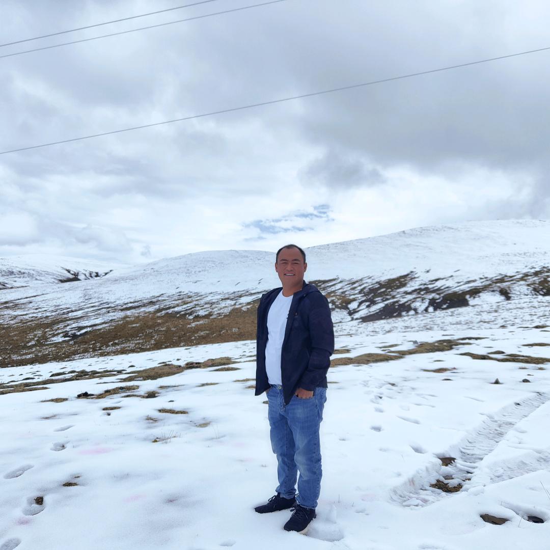 1168307778玫瑰苗批发月季🌹苗