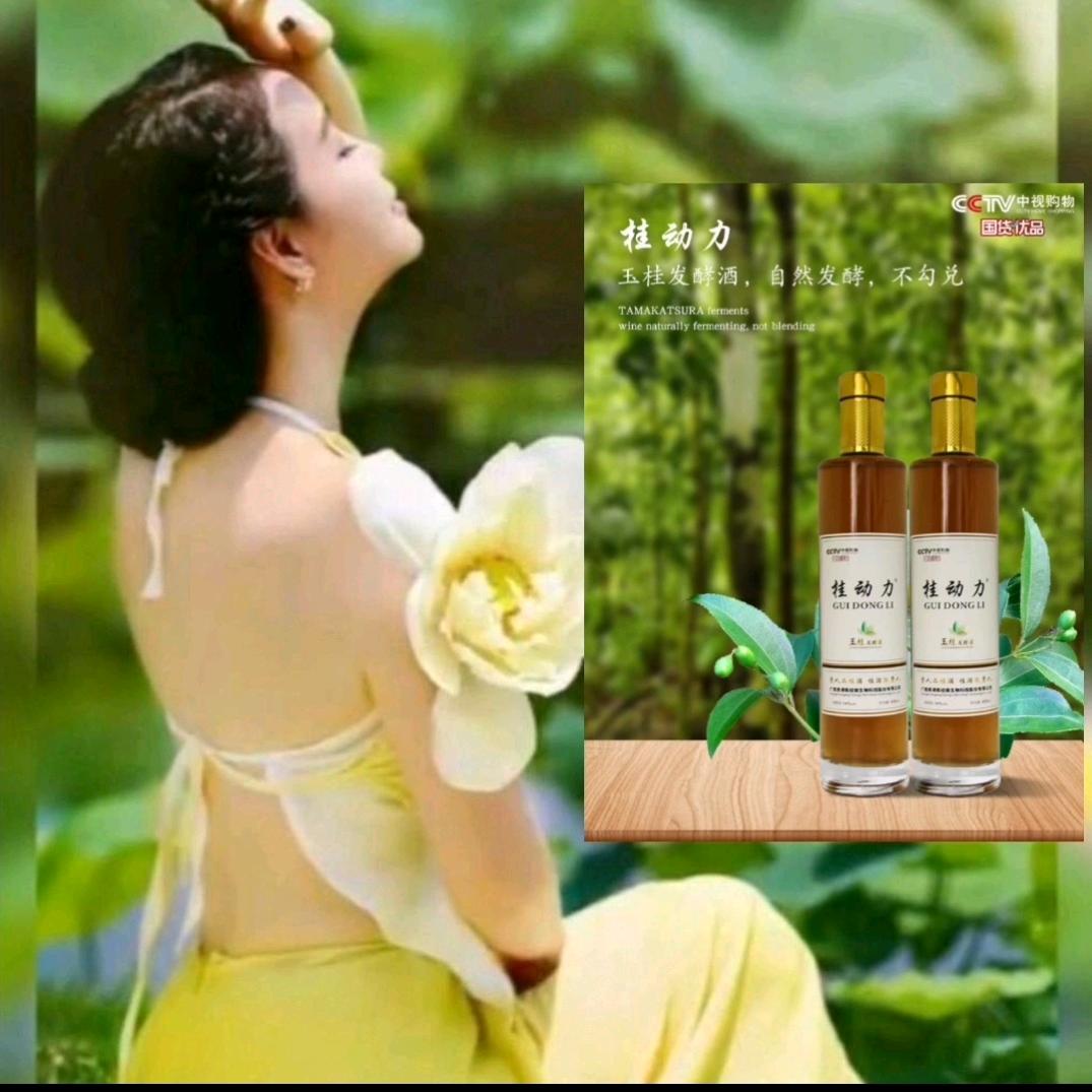 美女音乐