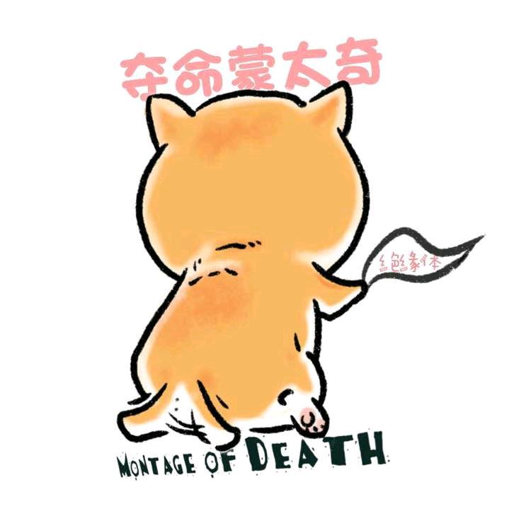 夺命蒙太奇