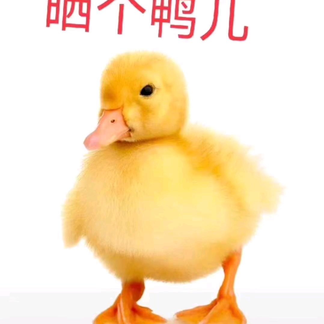 奈何桥上的你和我