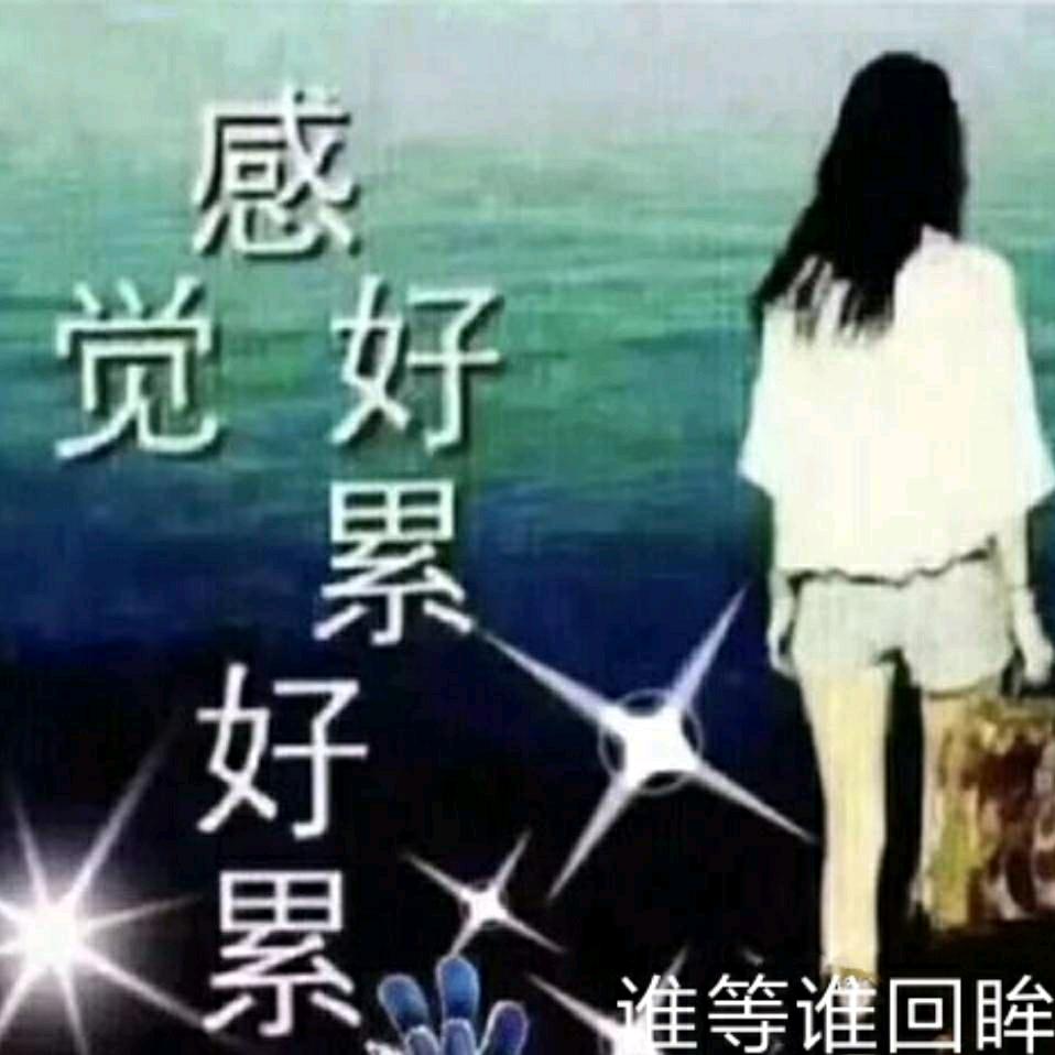 羽