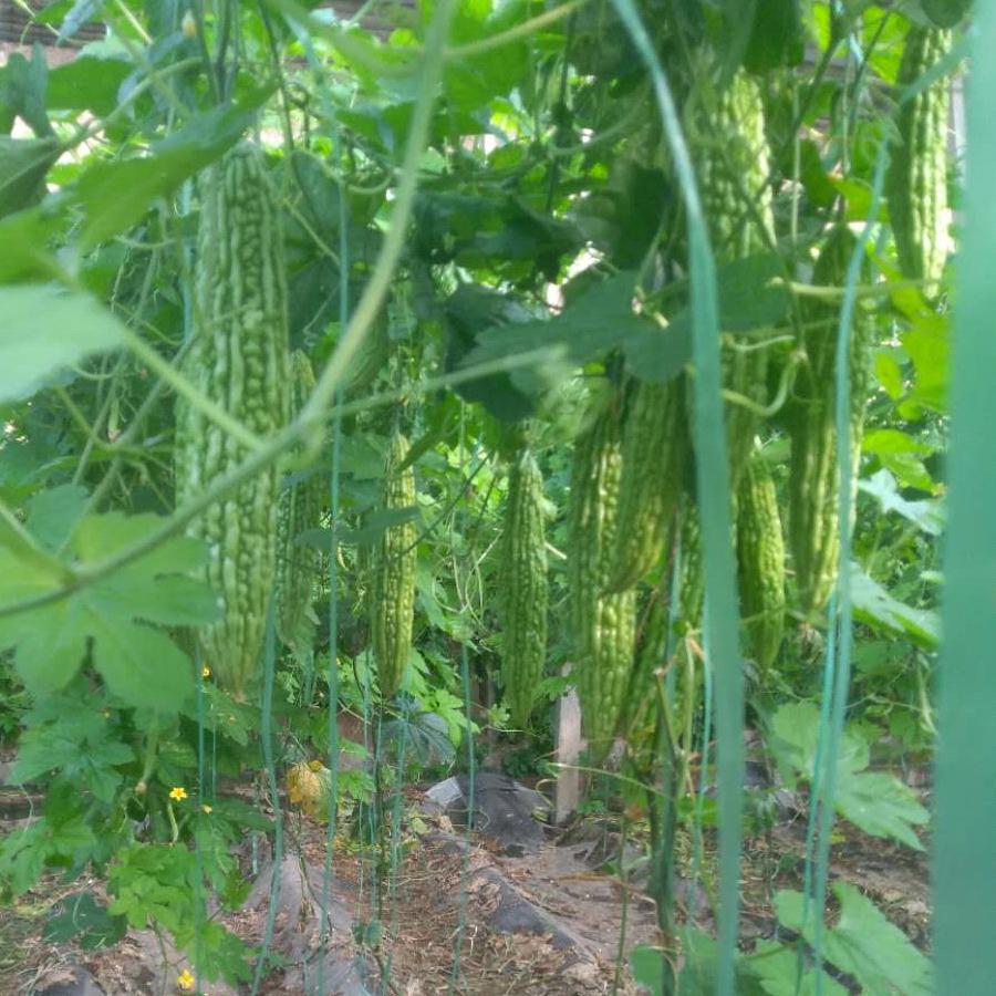 珍惜对你好的人