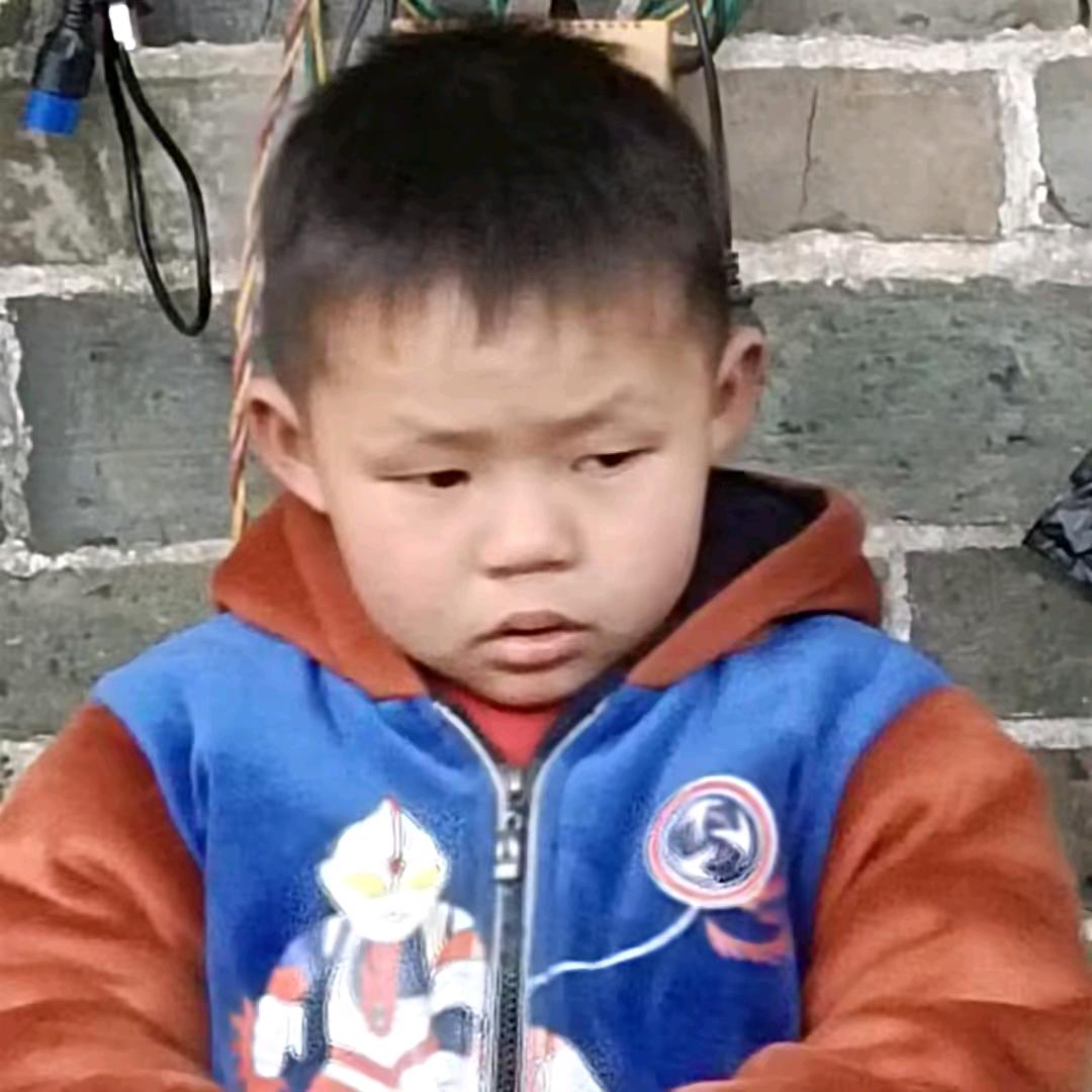 是洋洋