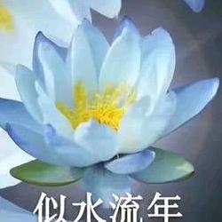 吉祥如意〰️