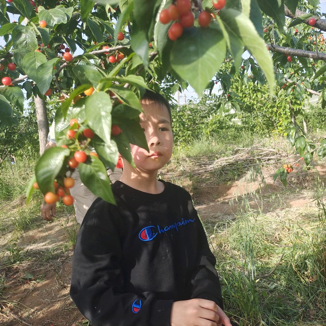 喜遇徐(づ ●─● )づ