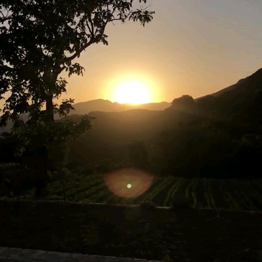 少林后山人