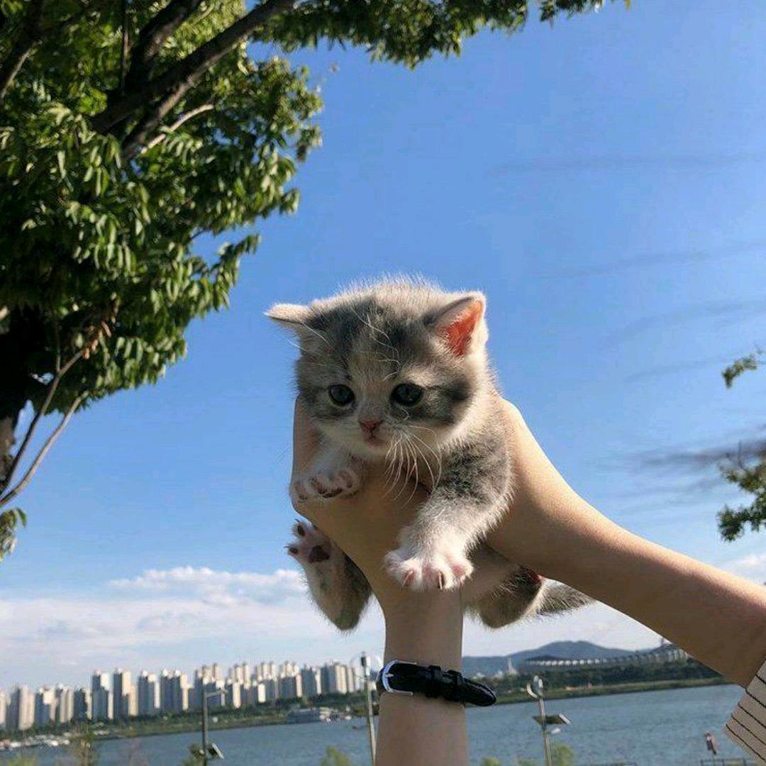 阿壁