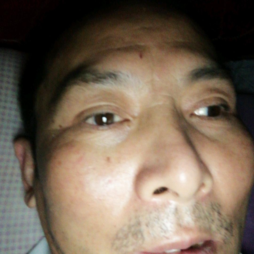 春满人间。