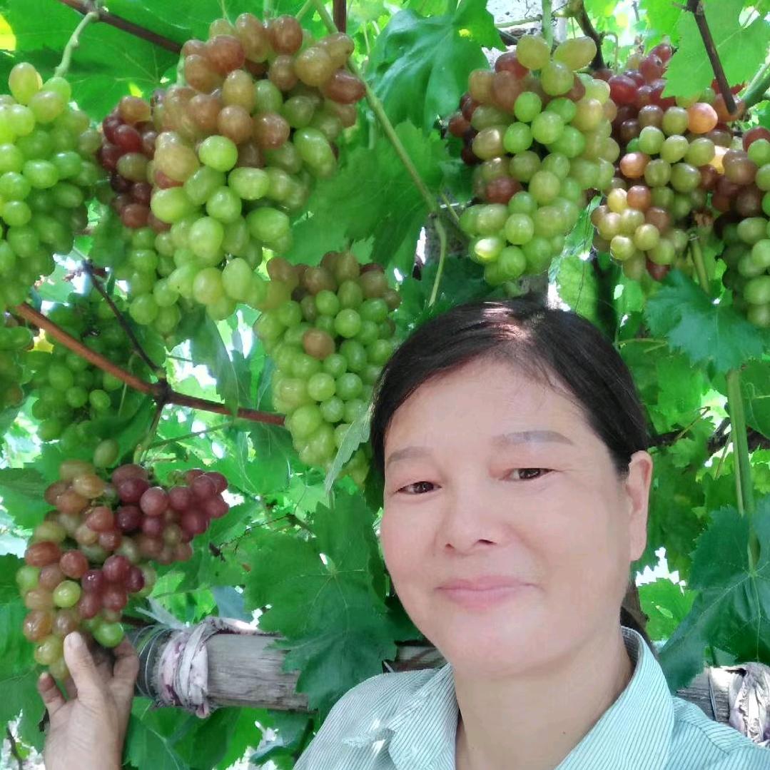 葡萄姐