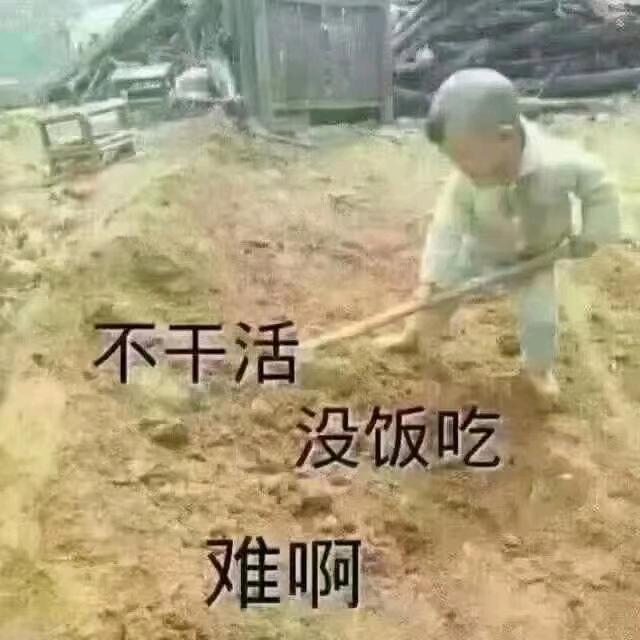 底层打工人