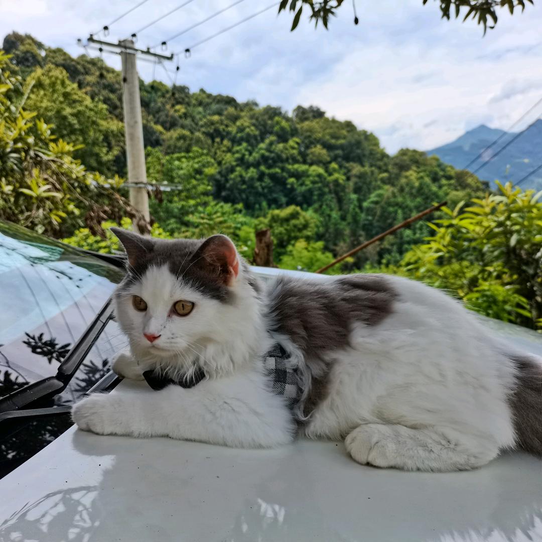 爱吃水果呀