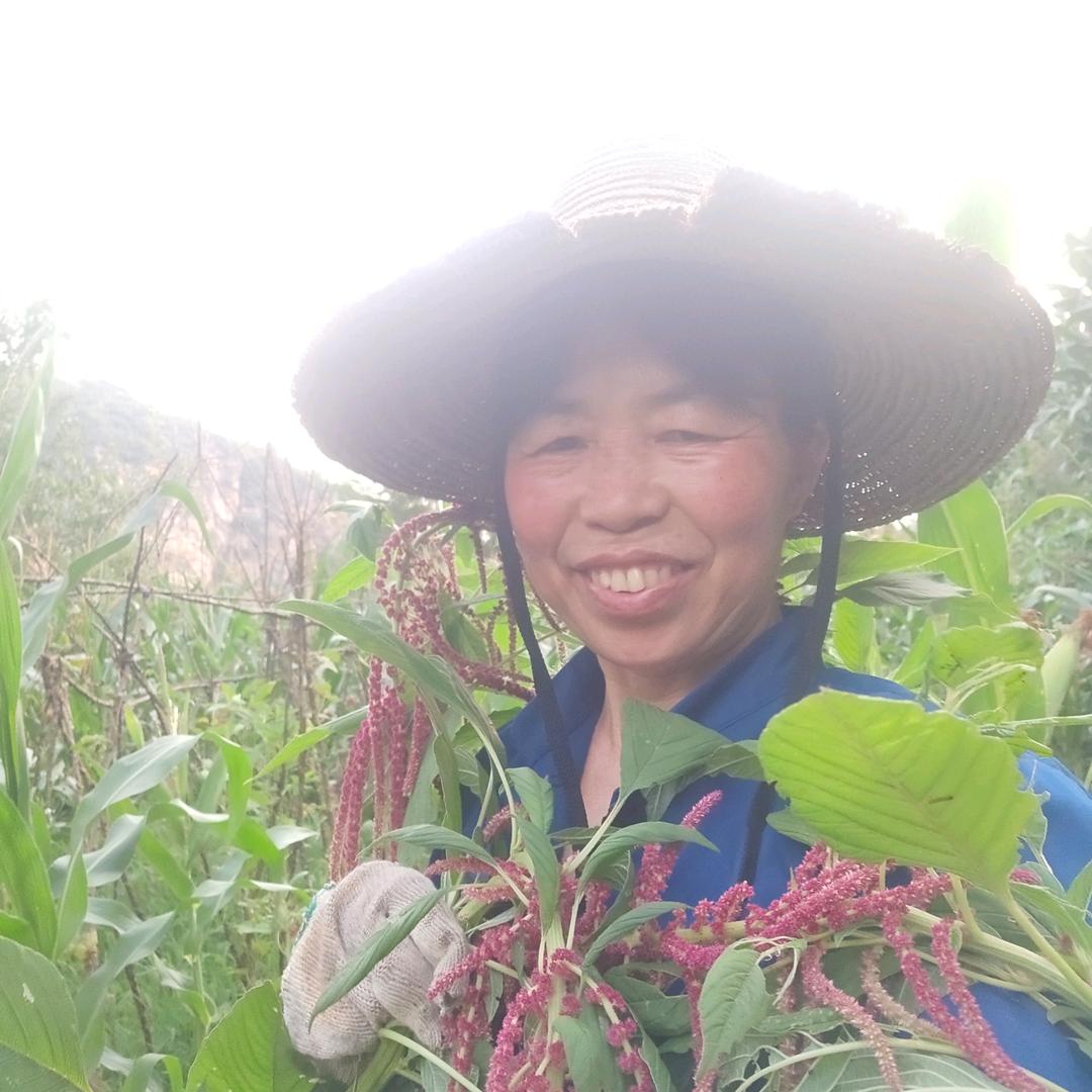 杜家好物 : 下午5点半首播