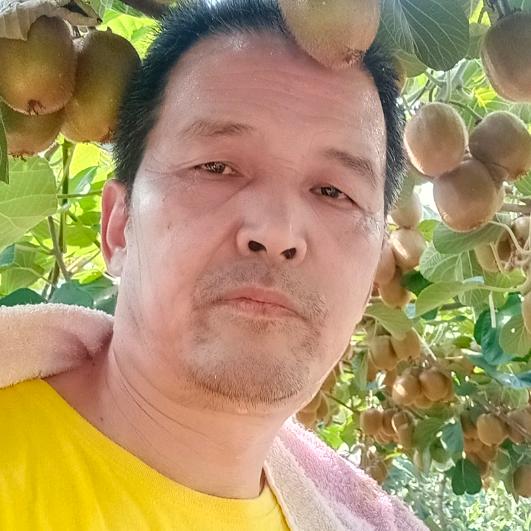 黄甲彦