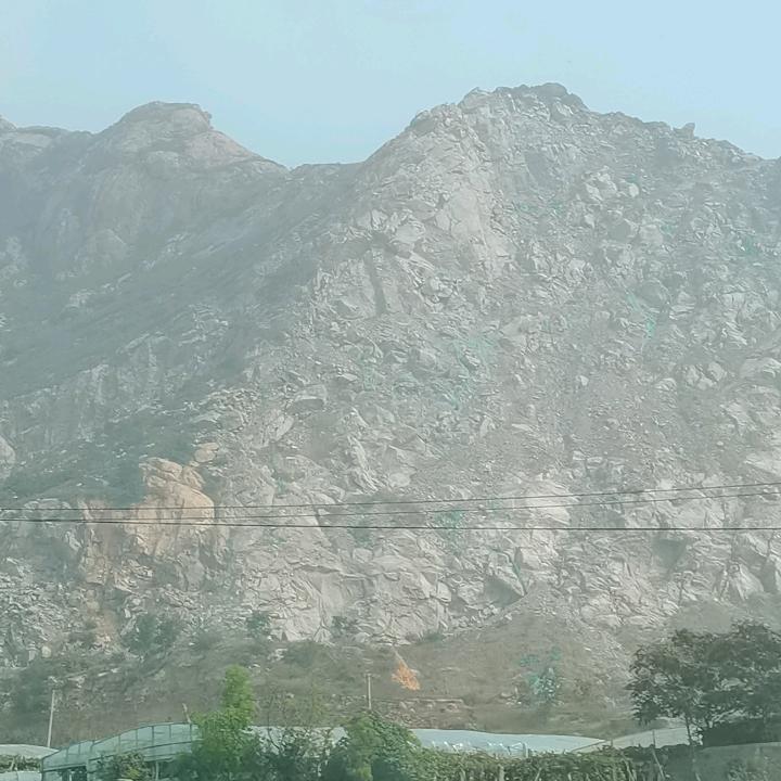 金青