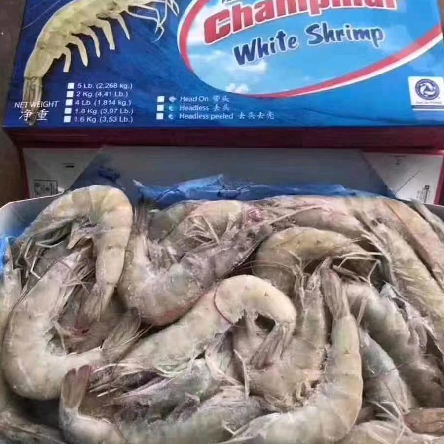 专业卖虾，陈小旺。