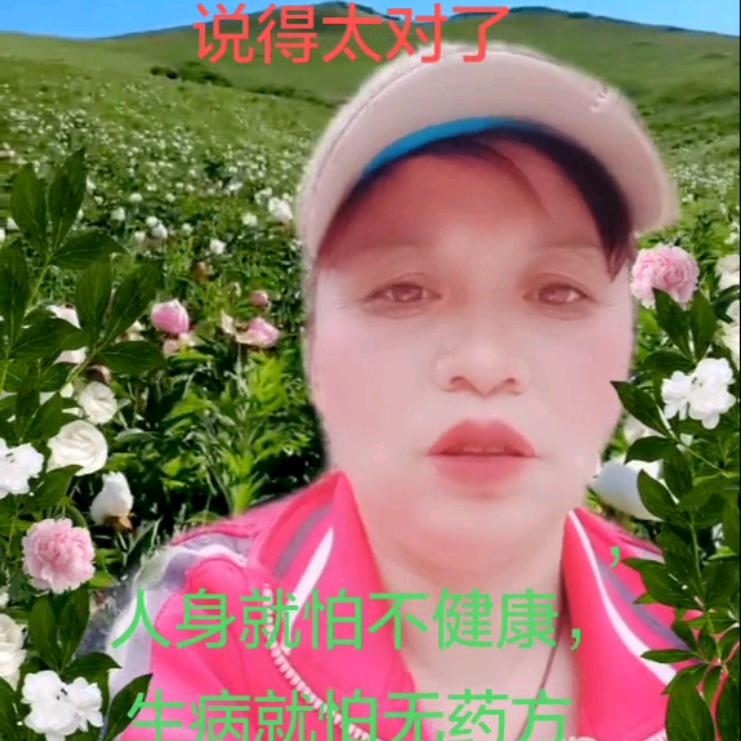 胡