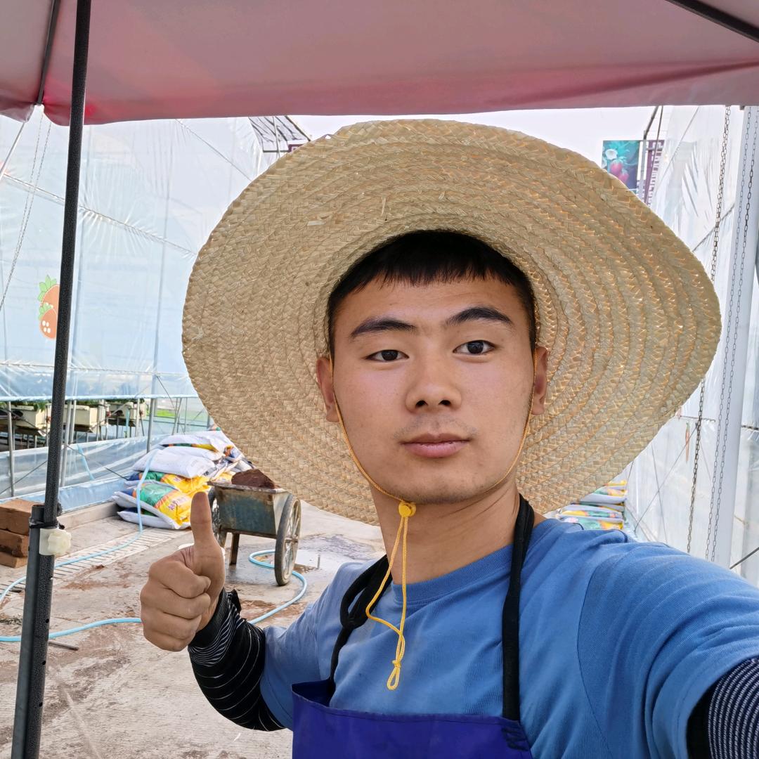 青禾讲草莓