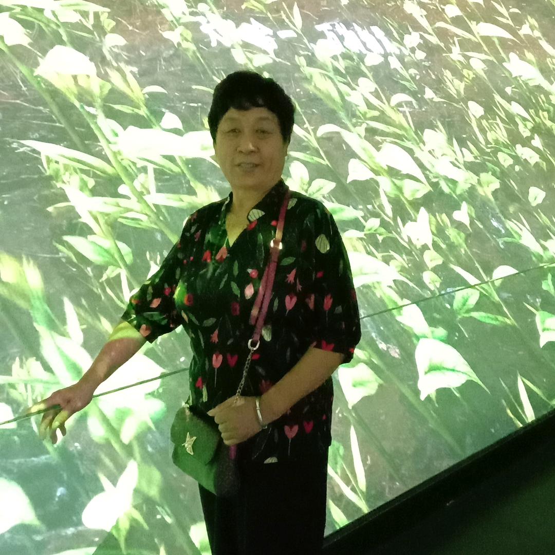玉兰花开