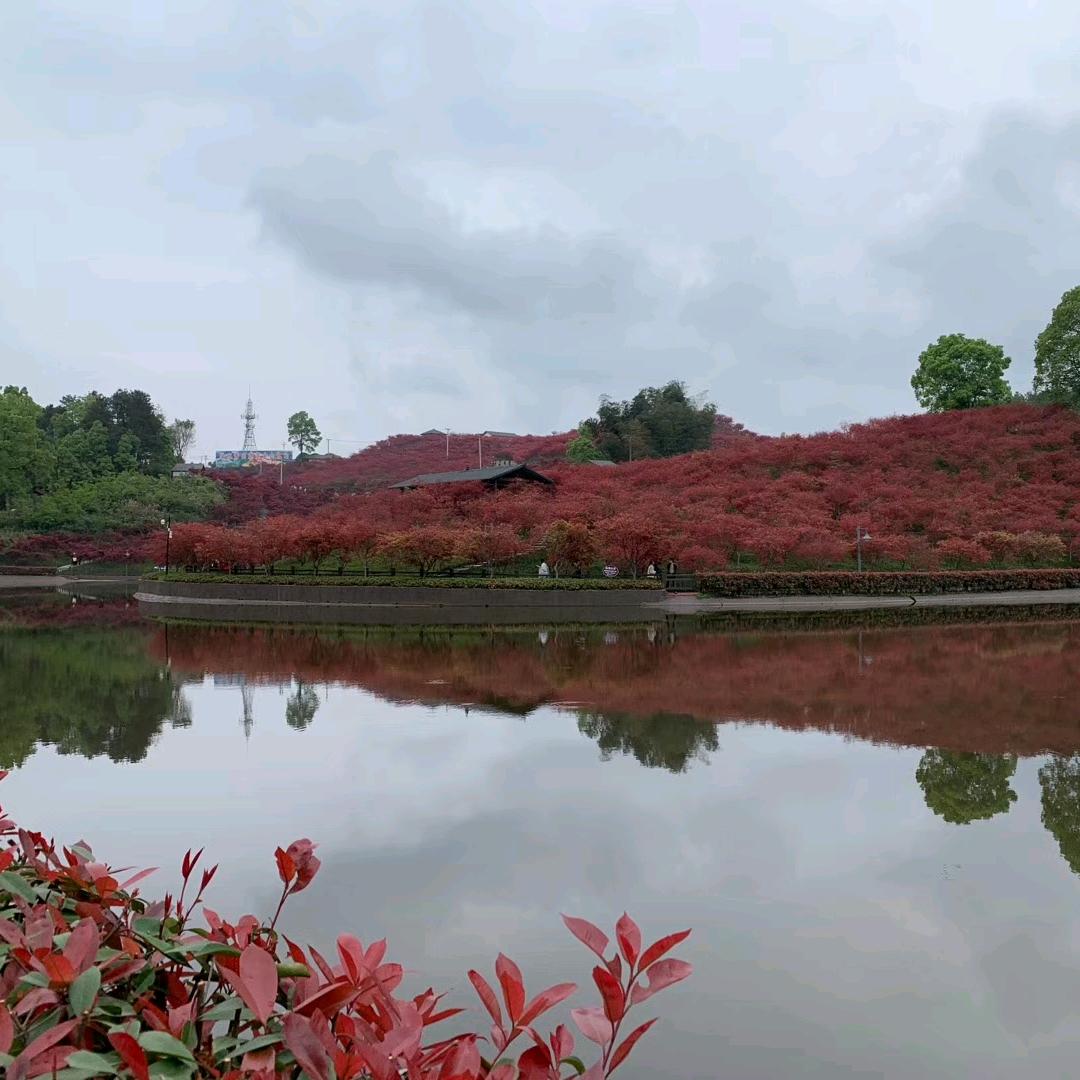 方元