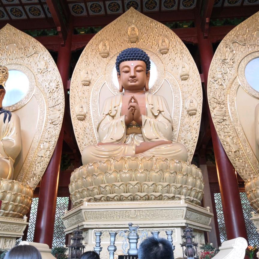 缘来是你吗
