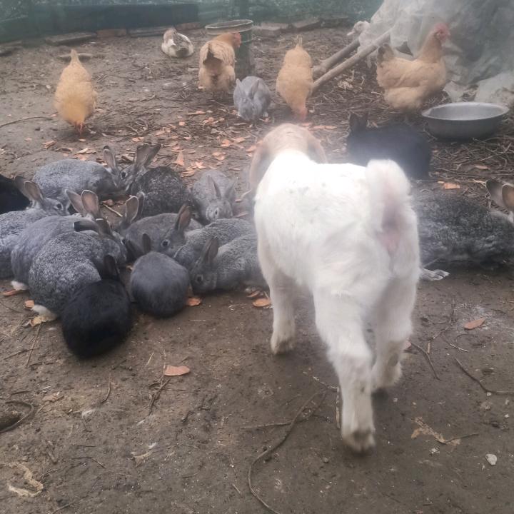 靠谁不如靠自己