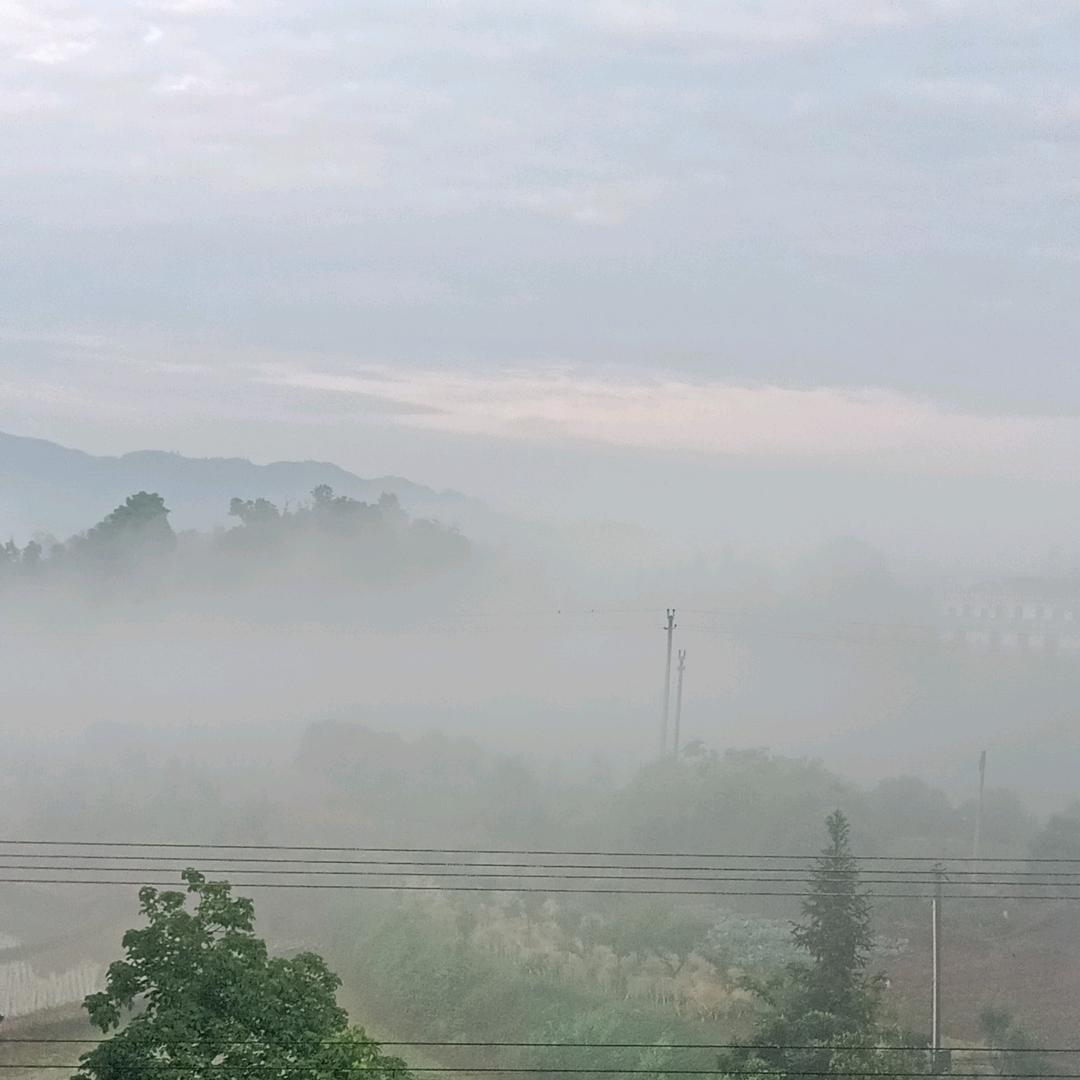 泸州专业盖雨布