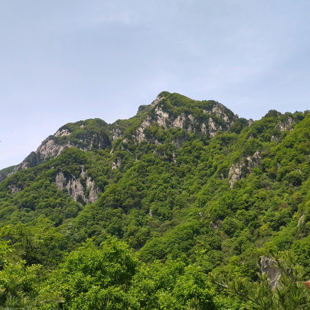 天赐无极