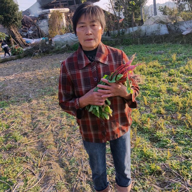 农村大姐