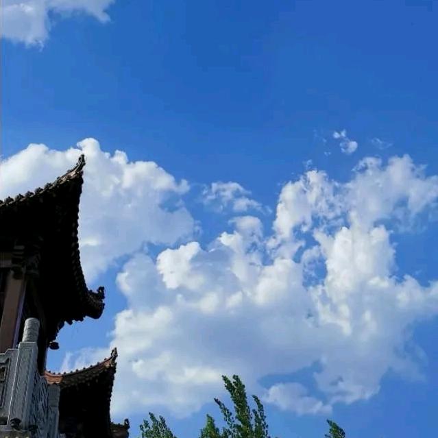 我的青春谁做主