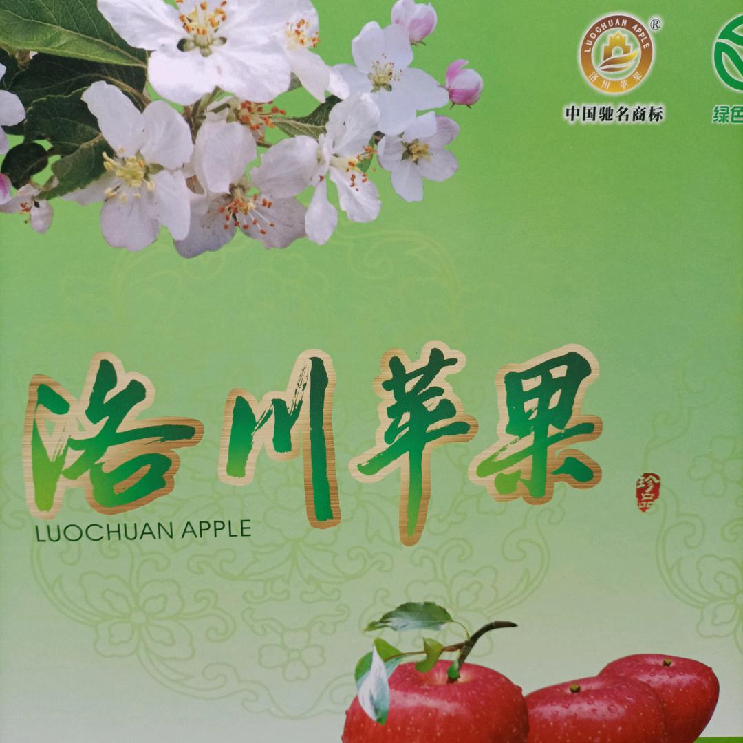 陕西洛川苹果供应链