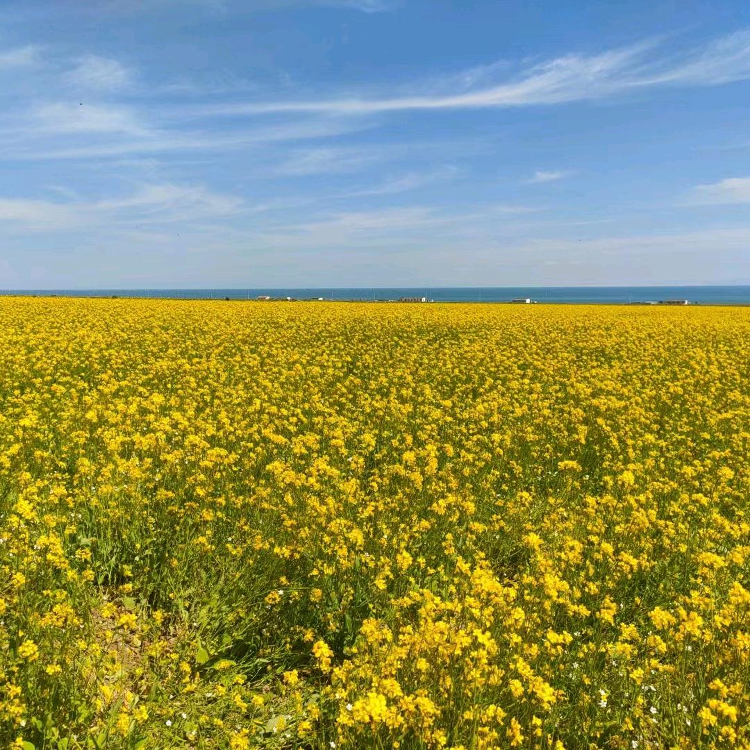 大连禄存生物科技202307030516