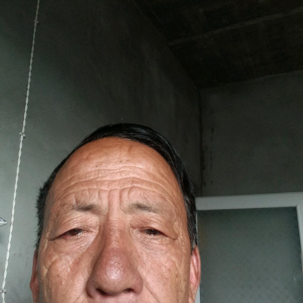 王新社