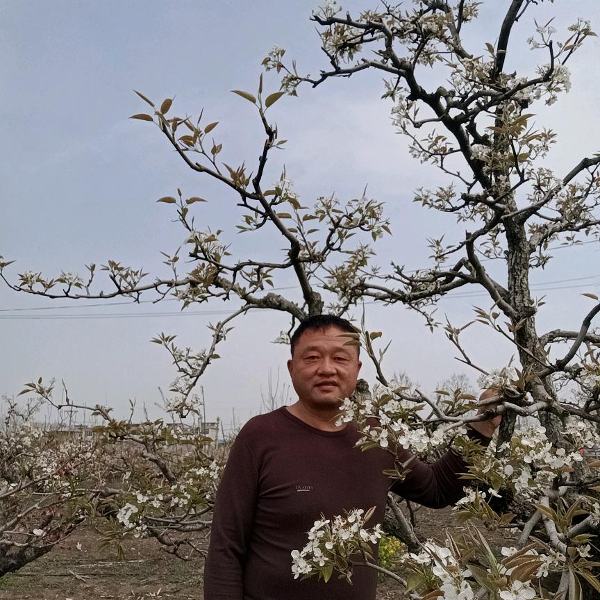 裴国军经营中盐红色劲典复合肥，