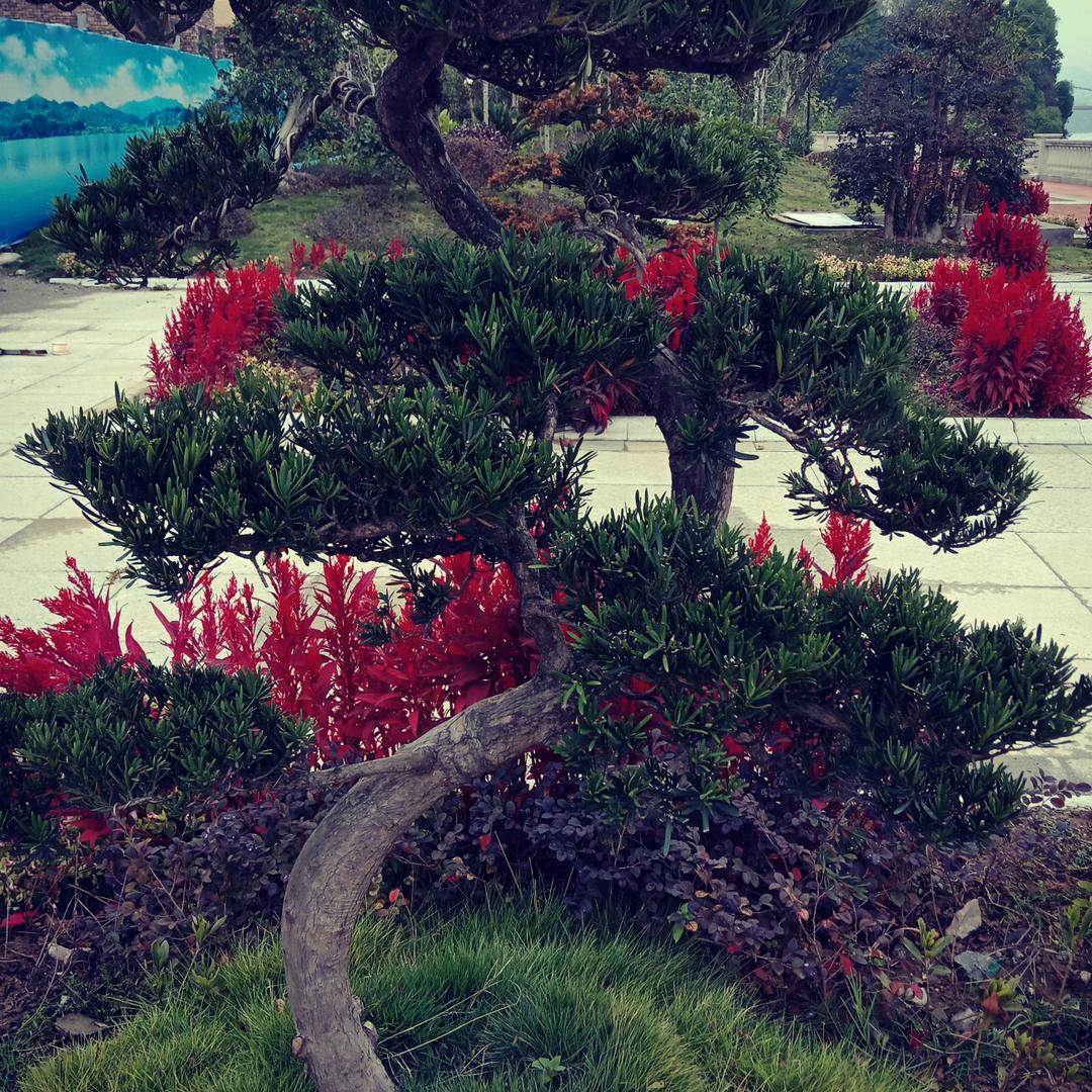 不管有没有下辈子。我只管眼前。珍惜当下