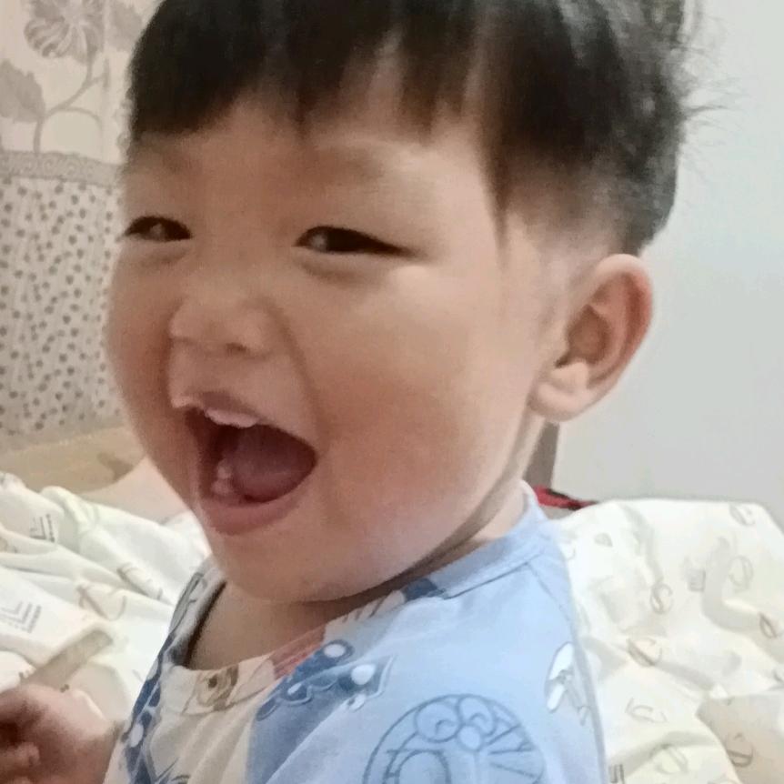 张接茂