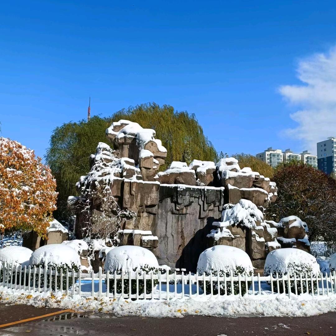 宁静致远🌸
