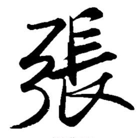 张好野